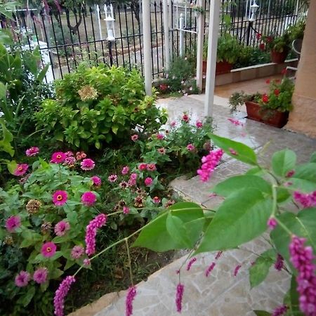 Villa Angela, Traditional Villa In The Village Агиос-Иоаннис-Перист Экстерьер фото